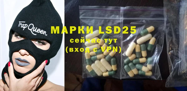 PSILOCYBIN Аркадак